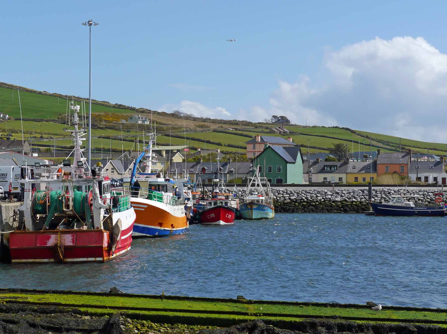 Scotia Handling Services | Lifting Equipment, Load Testing and Height Safety leute kennenlernen irland